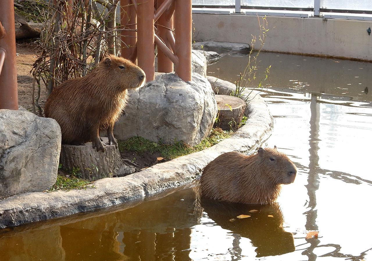 ホテルトレンド旭川 エクステリア 写真